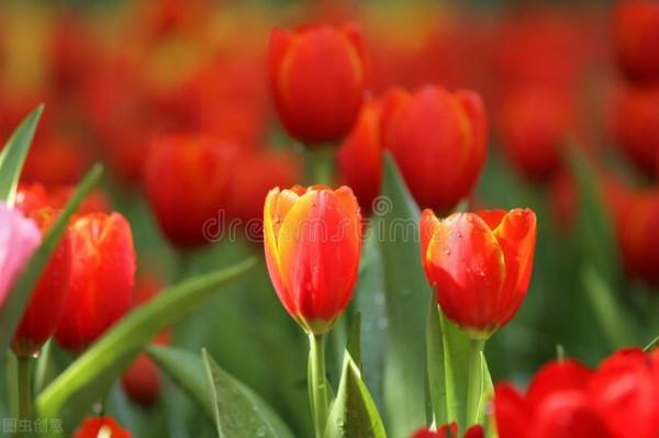 本週運勢（2&period;7&mdash;2&period;13）：摩羯座、天蠍座、白羊座