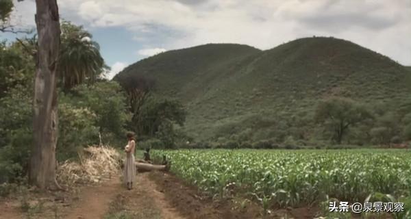 當年擊敗《英雄》,拿下奧斯卡最佳外語片的是這部肯亞拍的電影 當年擊敗《英雄》,拿下奧斯卡最佳外語片的是這部肯亞拍的電影