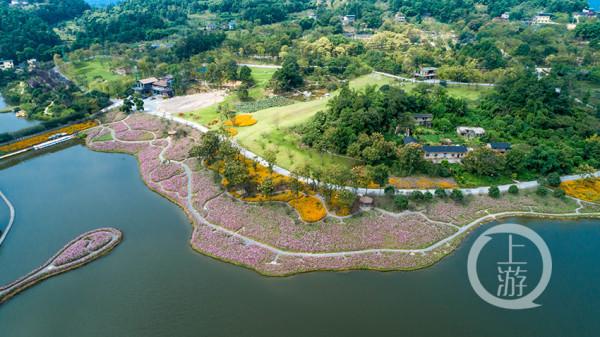 國慶好去處 | 到天坪山 聽聽格桑花開的聲音
