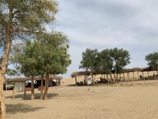 大美新疆（十）羅布人村