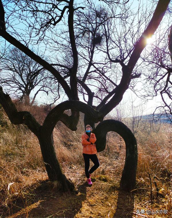 石家莊井陘龍鳳山，太行之秘境，高崖之上的古村，一眼萬年的風景