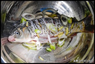 魚躍龍門製作教程