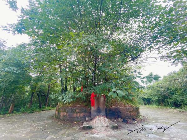 四川德陽有一座小眾古鎮，曾經是三國古戰場，現在都是徽派建築