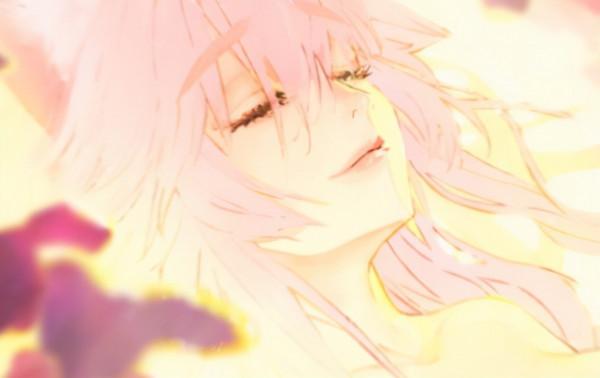 fgo殺狐變身第四獸資料設定詳解 芙芙:不過是一直候補的小丑兔 fgo殺狐變身第四獸資料設定詳解 芙芙:不過是一直候補的小丑兔