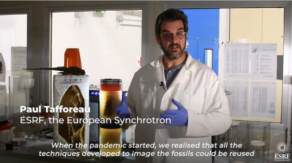 他們用人類史上最強的X光，告訴我們新冠患者的肺傷成了什麼樣