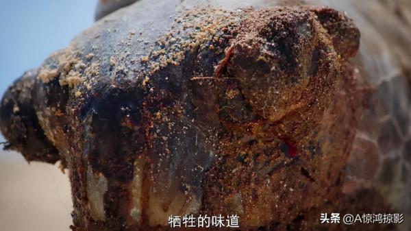 國家地理與迪士尼聯合制作的探險類紀錄片，每一集都在挑戰極限