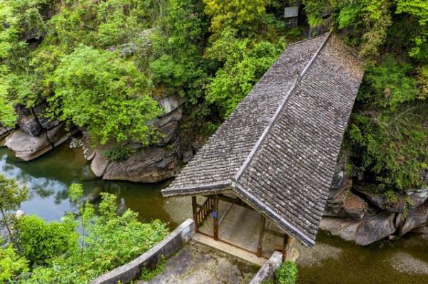 一個善念，最終救了全家人