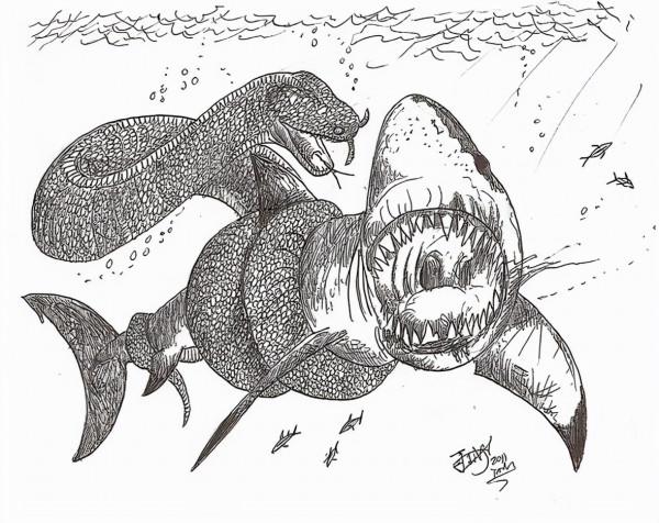 鯨魚：海爬走了，輪到我整活兒了，鯊魚你給我等著