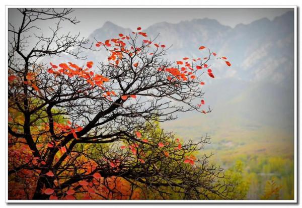 天地之中話中用一一君子修身應篤實