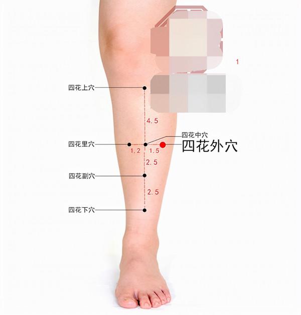 中醫針灸口腔、牙齒疾病處方1