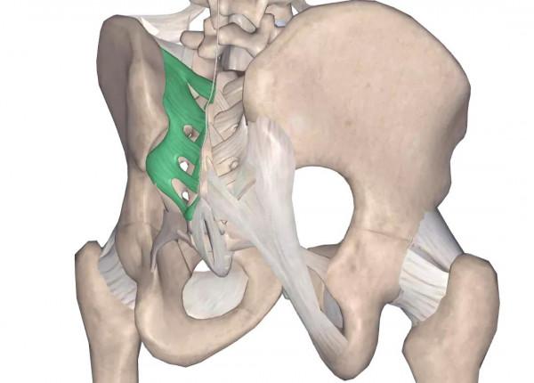 容易被誤診的“腰痛”——骶髂關節炎