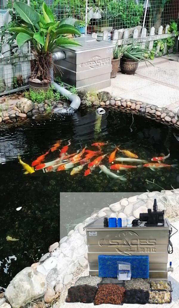 這些過濾的雷，你踩過嗎？走出過濾誤區，才能輕鬆養魚