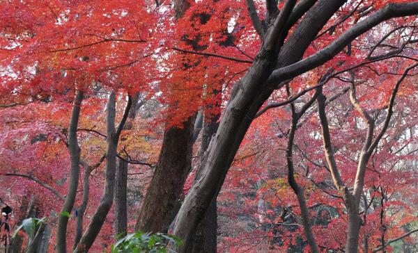 愛自己,是人生中最重要的事(值得一讀) 愛自己,是人生中最重要的事(值得一讀)