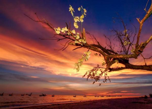 晚讀·映象｜|海島暖陽