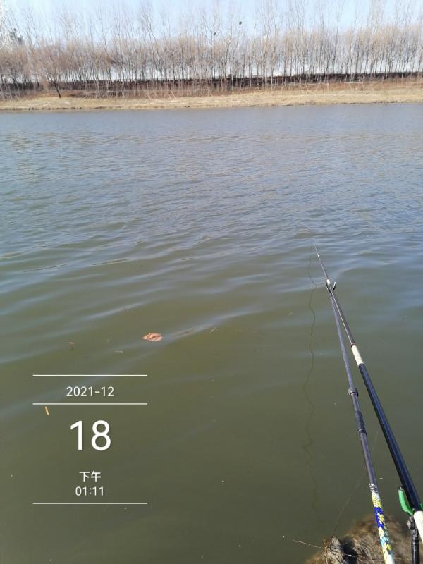 寒風凌冽再戰清河,鯽魚妹妹熱情似火 寒風凌冽再戰清河,鯽魚妹妹熱情似火