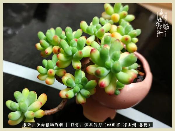 風吹過的夏天,你是仙子落凡間 風吹過的夏天,你是仙子落凡間