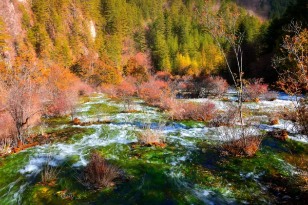 中國深秋10大最“紅”的紅葉林，準備好出發了嗎？