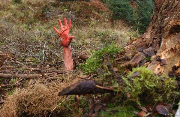 《黑暗侵襲》:驚悚、刺激、人性思考，值得觀看的一部電影