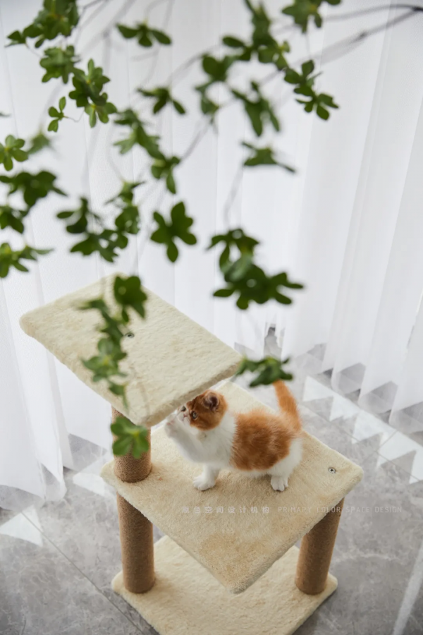 130平現代簡約風 | 為了一個新沙發，我創造了一個新家，