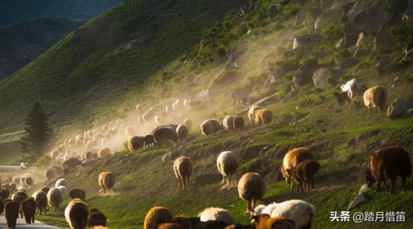 中秋遊新疆 | 在9月的可可托海,做了一場不願醒來的夢 中秋遊新疆 | 在9月的可可托海,做了一場不願醒來的夢