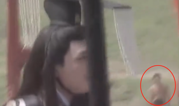 張飛穿皮鞋，楊穎“花容失色”，觀眾：我們連敷衍都不配了嗎？