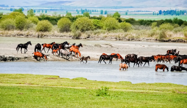這些小眾旅行地，我每個都想去。你呢？