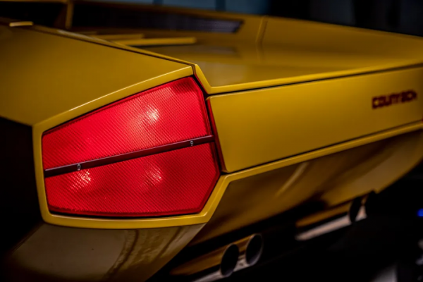 為了復活“大牛”始祖 他們花了25000小時