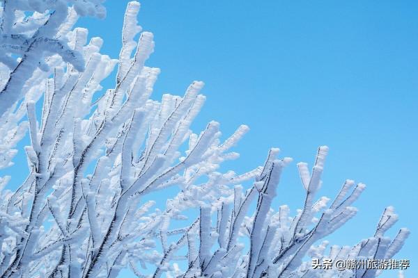 絕美！從晉朝走來的青蓮古寺，霧凇美景出現，又再次驚豔了世人