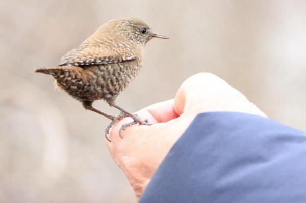 淵源共生，和諧共融