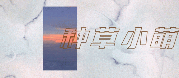 薄外套裡穿什麼？這4件內搭，洋氣爆了