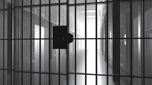 羅某平:身為網路名人公然侮辱志願軍英烈,下場令人拍手稱快 羅某平:身為網路名人公然侮辱志願軍英烈,下場令人拍手稱快