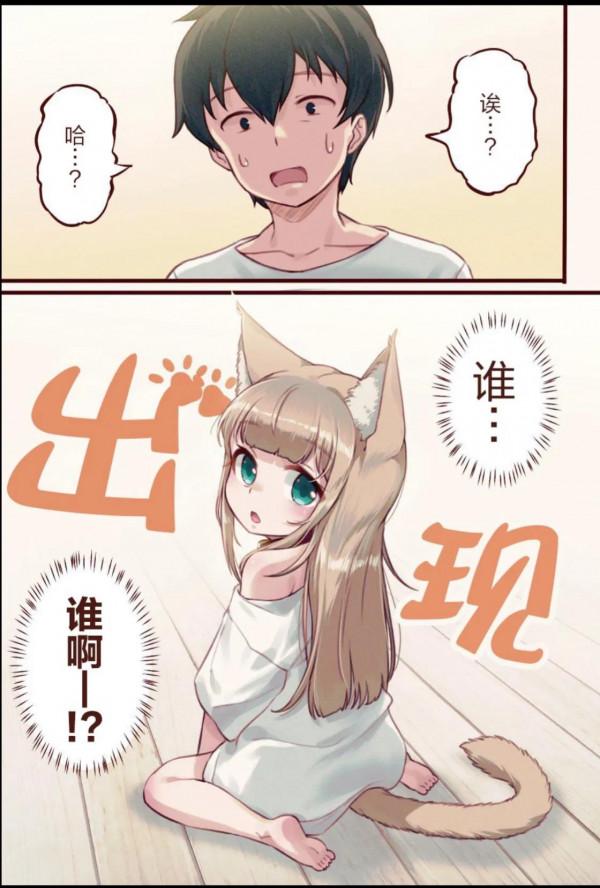 漫畫系列：《家裡迎來了貓貓！》