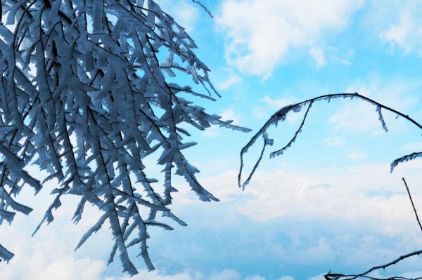 在家觀冬奧 聯想冰雪記憶