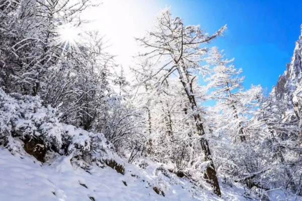國內冬日景色最美的18個地方，個個都綻放光芒，現在出發還不晚