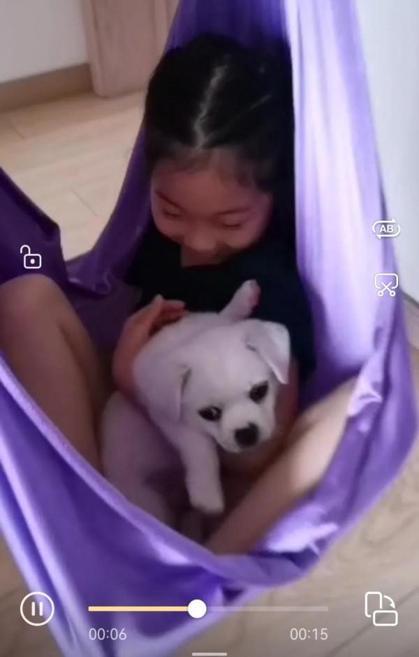 小狗飯糰兒,希望你開心 小狗飯糰兒,希望你開心