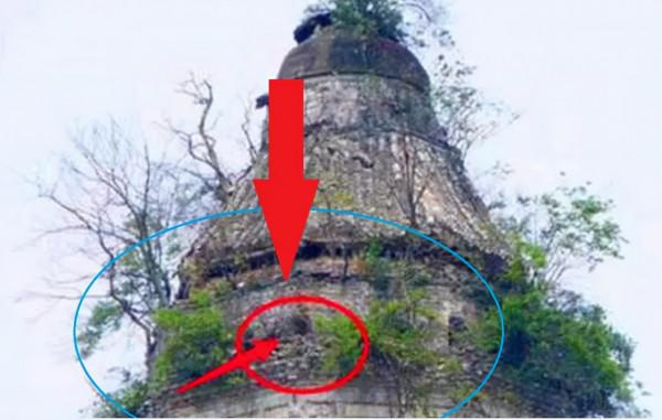 1978年,蘇州3名小學生掏鳥窩,意外掏出價值50億的頂尖國寶 1978年,蘇州3名小學生掏鳥窩,意外掏出價值50億的頂尖國寶