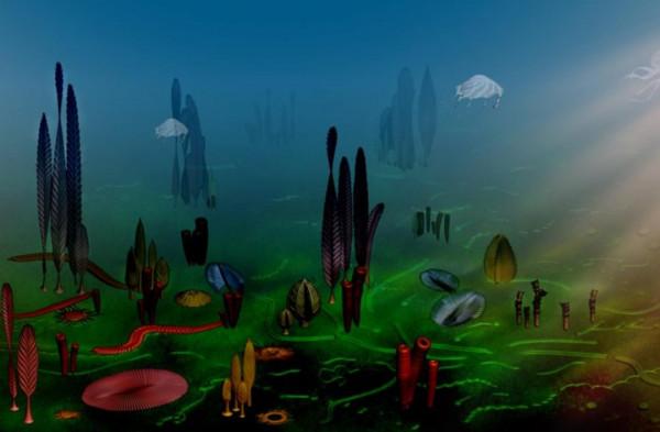 埃迪卡拉生物群｜地球簡史系列