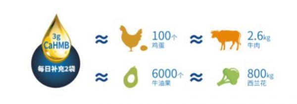 HMB：可以平衡肌蛋白，對女性肌肉有好處