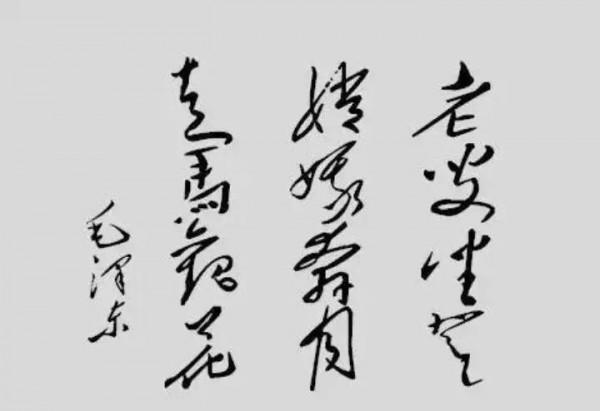1972年尼克松嫌毛主席贈4兩紅茶太“摳門”,周總理如何巧妙化解 1972年尼克松嫌毛主席贈4兩紅茶太“摳門”,周總理如何巧妙化解
