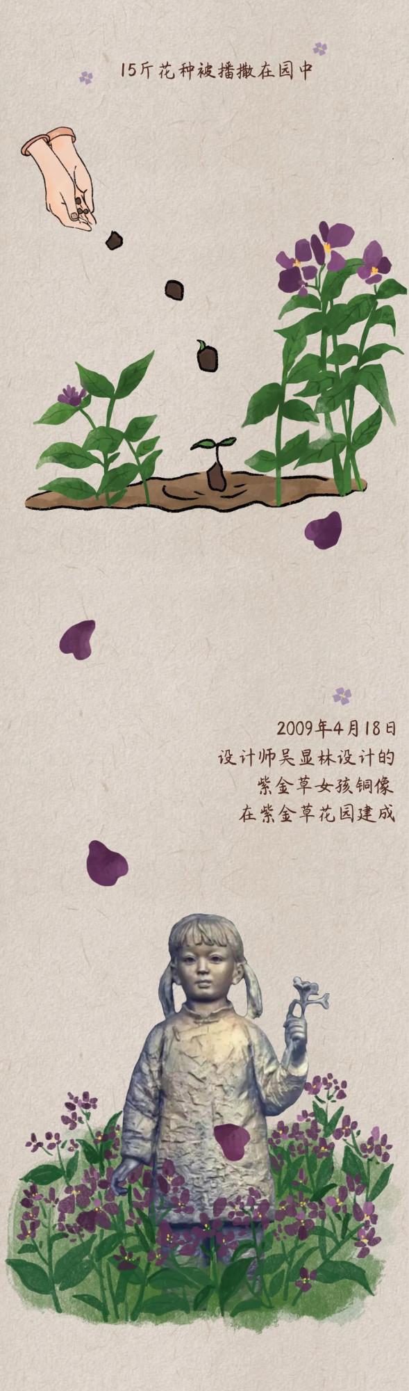 一朵紫金草的和平之旅 一朵紫金草的和平之旅