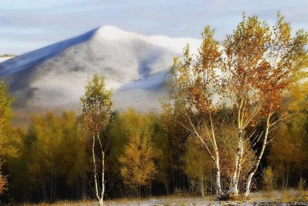 20部世界名著的開頭，越品越有味道