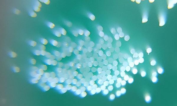 雙十一電動牙刷怎麼選?同同家T9U讓你輕鬆享受品質生活 雙十一電動牙刷怎麼選?同同家T9U讓你輕鬆享受品質生活