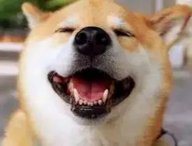 有福同享,有肉你長 有福同享,有肉你長