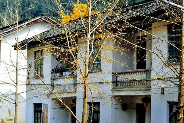 最適合自駕的季節,12條自駕路線,人少景美,總有一條適合你 最適合自駕的季節,12條自駕路線,人少景美,總有一條適合你