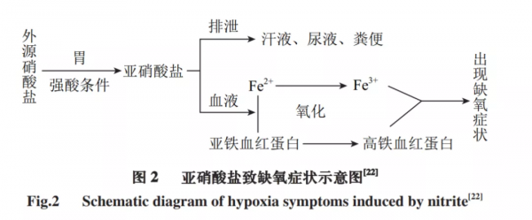用蔬菜煮水衝奶粉導致寶寶中毒，這真不是危言聳聽