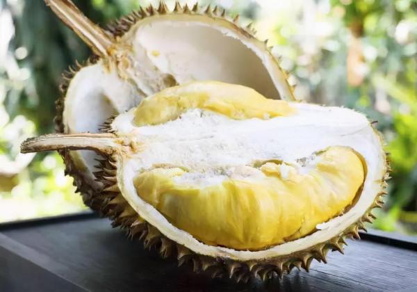 容易“上火”是什麼原因，是陰虛火旺體質嗎？應該如何調理