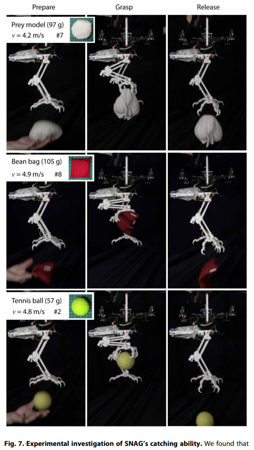 給無人機加爪子登《科學》子刊封面，斯坦福研發仿生鳥機器人