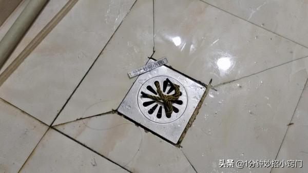 今天才知道,廢舊的鋼絲球是好東西,特“值錢”,學到就是賺到 今天才知道,廢舊的鋼絲球是好東西,特“值錢”,學到就是賺到