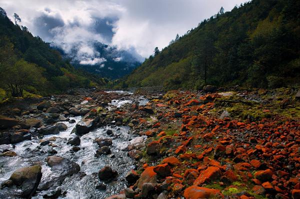 2022年元旦，二郎山喇叭河旅遊景區恢復開園迎客
