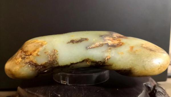 新疆尋寶戈壁精靈 新疆尋寶戈壁精靈